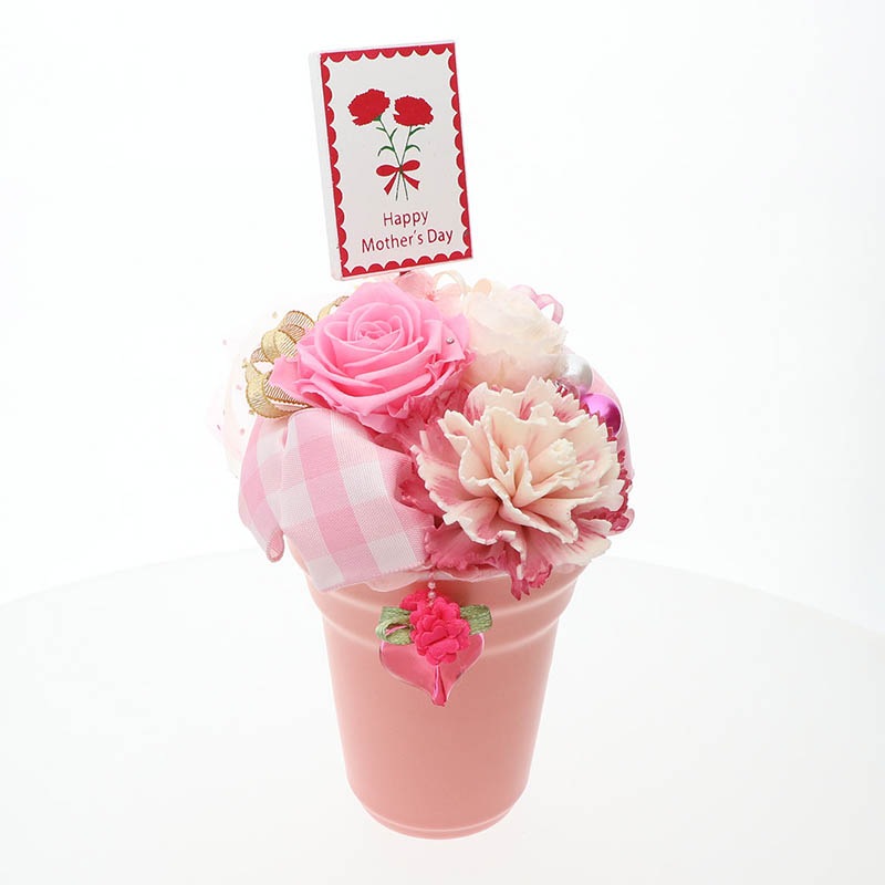 ץꥶ֥ɥե ե ͤ ͤ ԥ Х ͡ ()