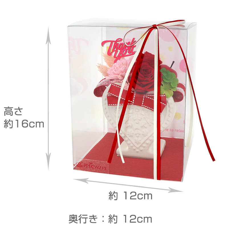 ץꥶ֥ɥե  ۥ磻ȥǡ   LOVELYLOVELY(֥꡼֥꡼) Thank Youԥåդ  顼Хꥨͭ