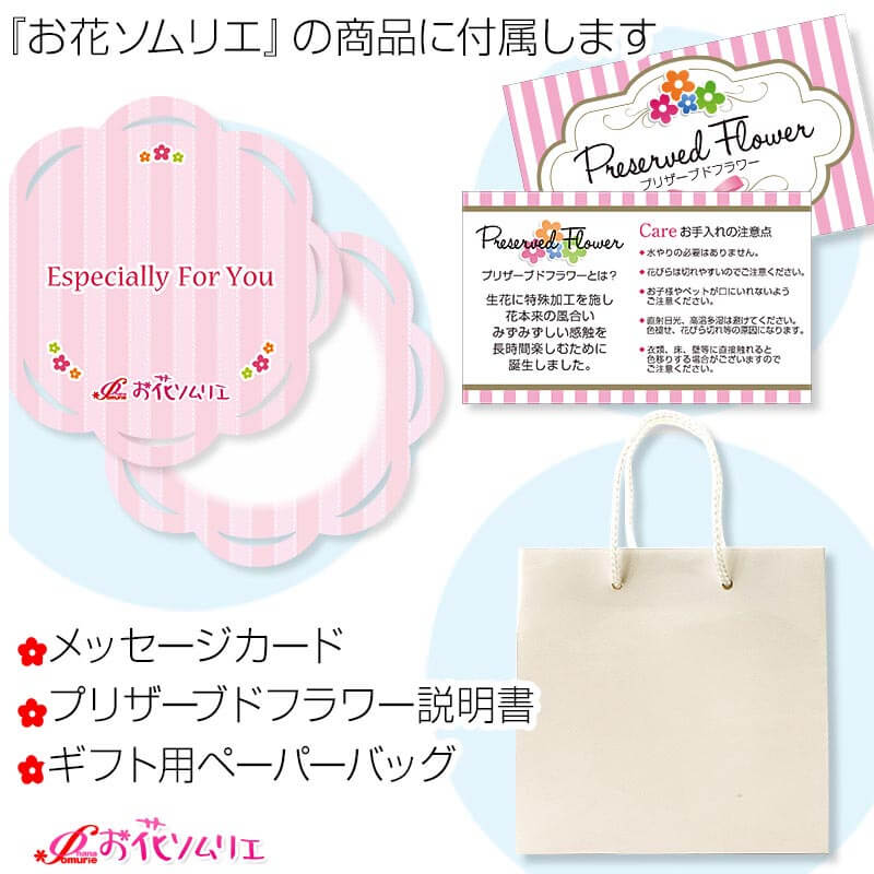 ץꥶ֥ɥե ˤ ץ쥼 Хåȥե  顼Хꥨ