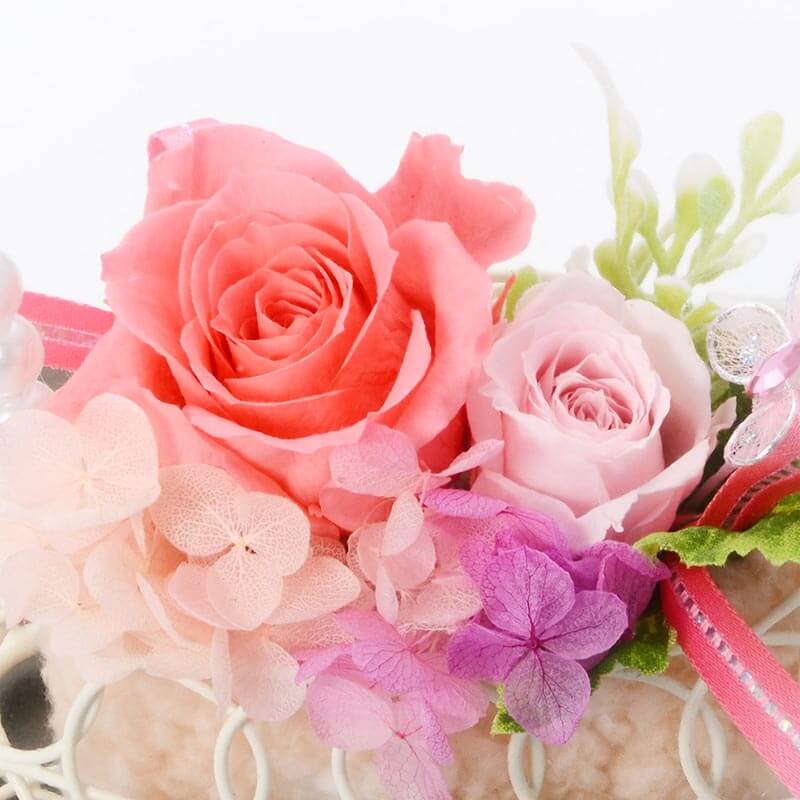 ץꥶ֥ɥե ˤ ץ쥼 Хåȥե  顼Хꥨ