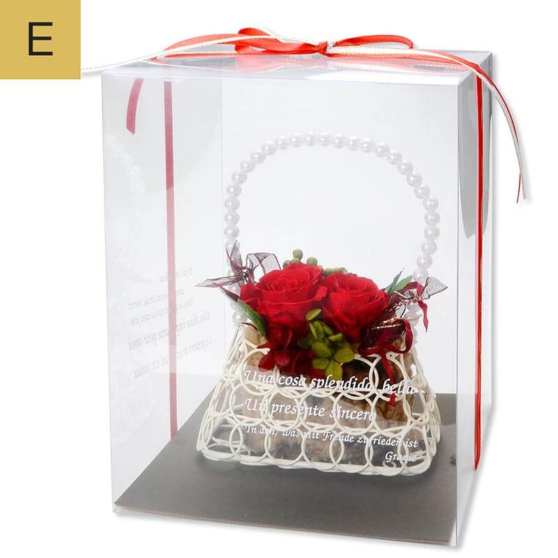 ץꥶ֥ɥե ˤ ץ쥼 Хåȥե  顼Хꥨ