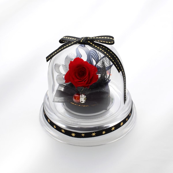 ץꥶ֥ɥե ץ쥼 Х顼 ɡॢ 顼Хꥨͭ