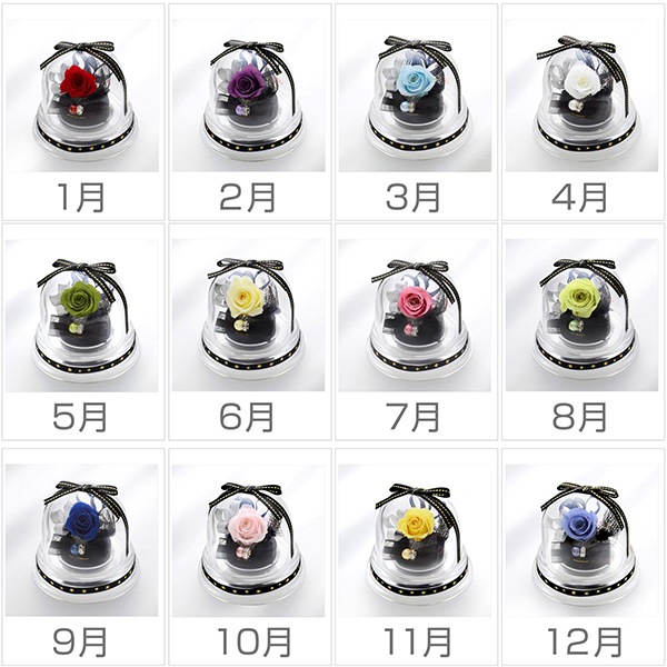 ץꥶ֥ɥե ץ쥼 Х顼 ɡॢ 顼Хꥨͭ