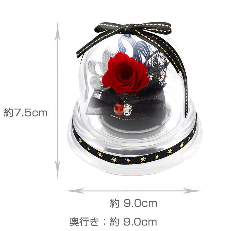 ץꥶ֥ɥե ץ쥼 Х顼 ɡॢ 顼Хꥨͭ