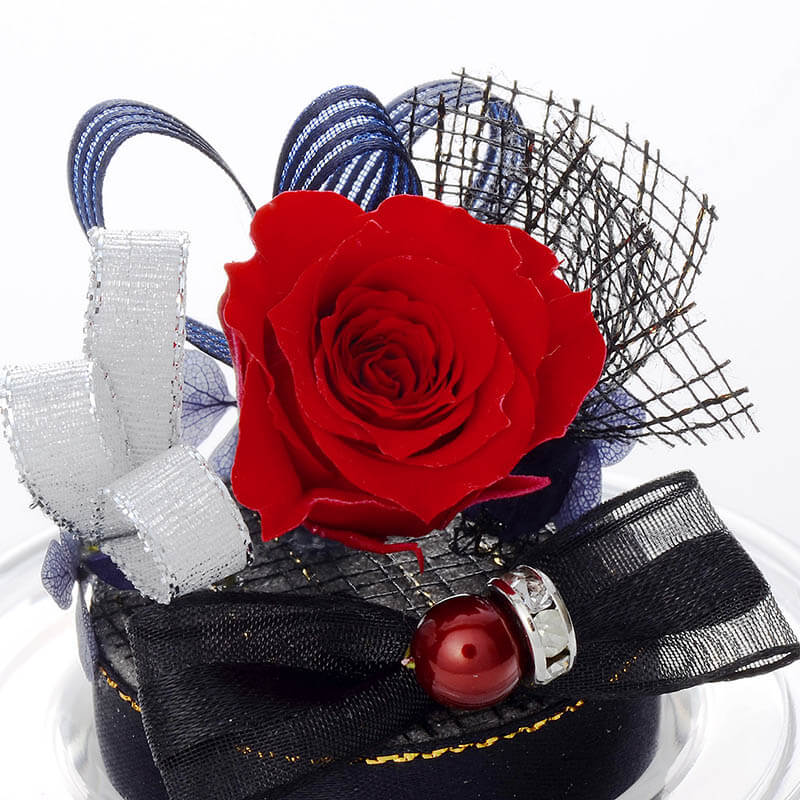 ץꥶ֥ɥե ץ쥼 Х顼 ɡॢ 顼Хꥨͭ