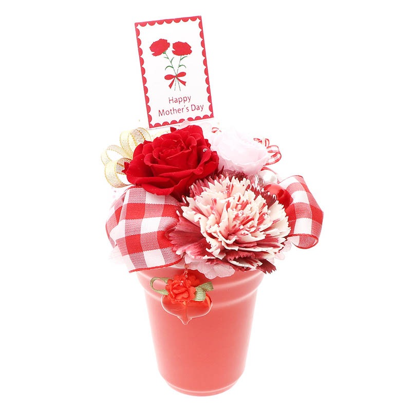 ץꥶ֥ɥե     ץ쥼 å ֥奯 Thank You Happy Mother's Day ԥå