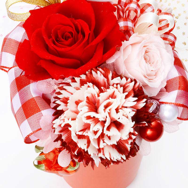 ץꥶ֥ɥե     ץ쥼 å ֥奯 Thank You Happy Mother's Day ԥå