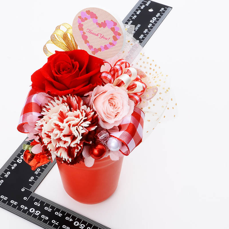 ץꥶ֥ɥե     ץ쥼 å ֥奯 Thank You Happy Mother's Day ԥå