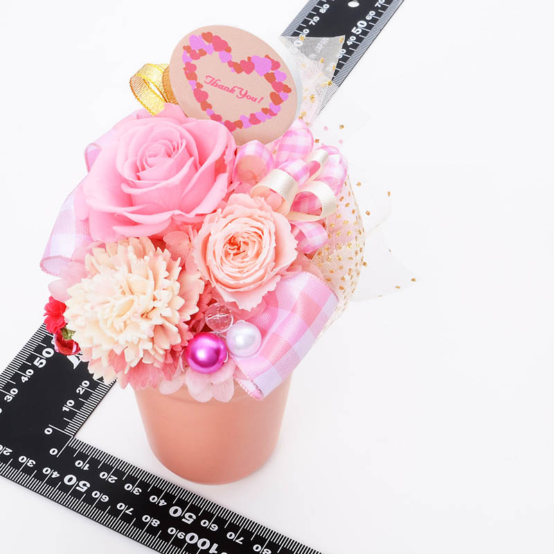 ץꥶ֥ɥե     ץ쥼 ԥ󥯿 ֥奯 Thank You  Happy Mother's Day  ԥåХꥨͭ