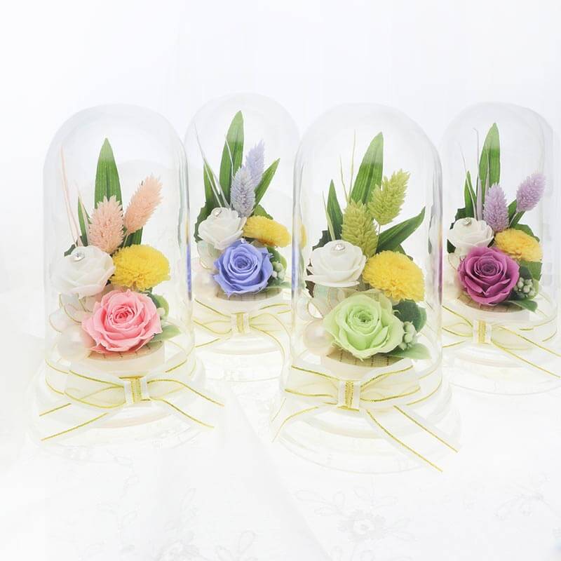 �ץꥶ���֥ɥե� ʩ�� ʩ�� ���� ����� ̿�� ��̿�� �ԥ󥯿� �֥��ꥢ��ե��� �ɡ��ॢ��� ������