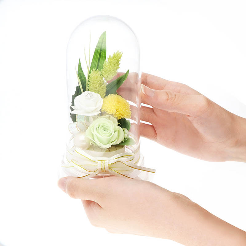 �ץꥶ���֥ɥե� ʩ�� ʩ�� ���� ����� ̿�� ��̿�� �ԥ󥯿� �֥��ꥢ��ե��� �ɡ��ॢ��� ������