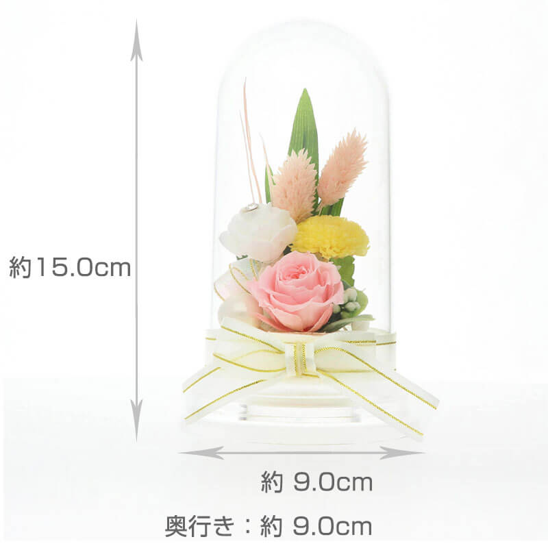 �ץꥶ���֥ɥե� ʩ�� ʩ�� ���� ����� ̿�� ��̿�� �ԥ󥯿� �֥��ꥢ��ե��� �ɡ��ॢ��� ������