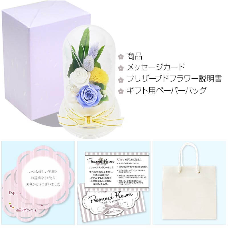 �ץꥶ���֥ɥե� ʩ�� ʩ�� ���� ����� ̿�� ��̿�� �ԥ󥯿� �֥��ꥢ��ե��� �ɡ��ॢ��� ������