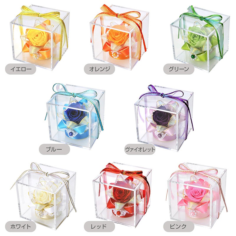 ���֥���ꥨ ������ ���˥����ϥ󥫥�&�ץꥶ���֥ɥե����å�(��åԥ��դ�) PF-0076-H-INITIAL-WH