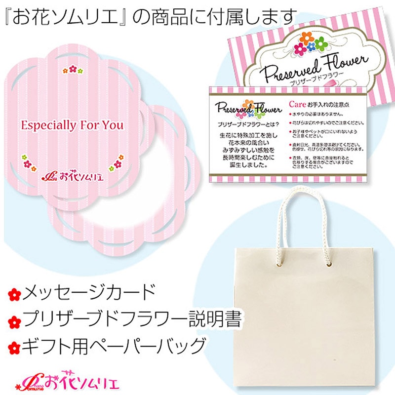 ���֥���ꥨ ������ ���˥����ϥ󥫥�&�ץꥶ���֥ɥե����å�(��åԥ��դ�) PF-0076-H-INITIAL-WH