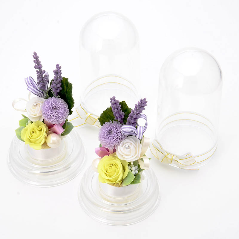 �ץꥶ���֥ɥե� ʩ�� ʩ���� �� 2�ĥ��å� �ɡ��ॢ��� �֥��ꥢ��ե���