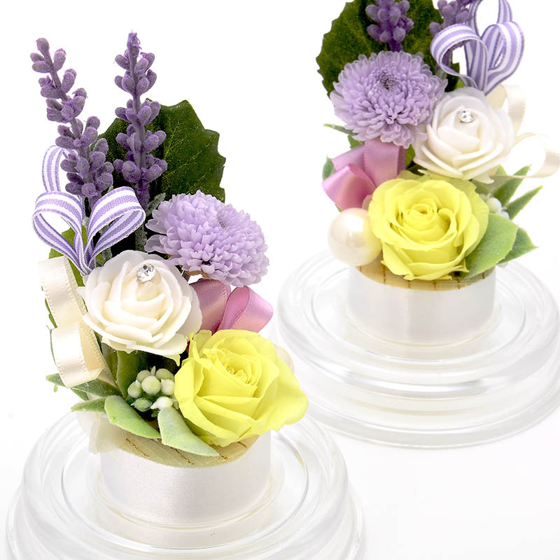 �ץꥶ���֥ɥե� ʩ�� ʩ���� �� 2�ĥ��å� �ɡ��ॢ��� �֥��ꥢ��ե���