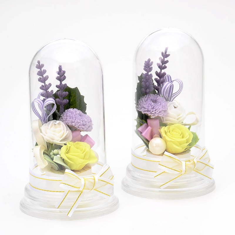 �ץꥶ���֥ɥե� ʩ�� ʩ���� �� 2�ĥ��å� �ɡ��ॢ��� �֥��ꥢ��ե���