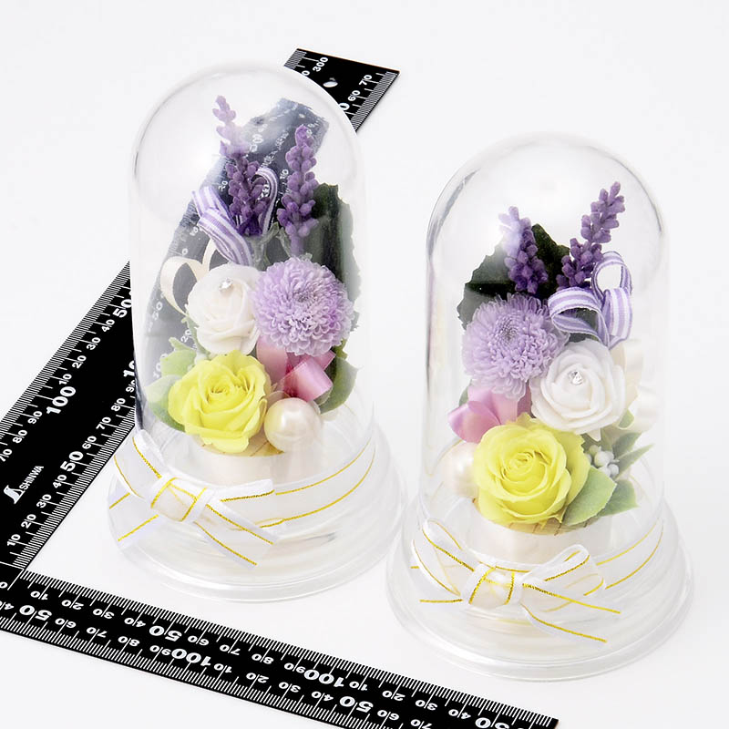 �ץꥶ���֥ɥե� ʩ�� ʩ���� �� 2�ĥ��å� �ɡ��ॢ��� �֥��ꥢ��ե���