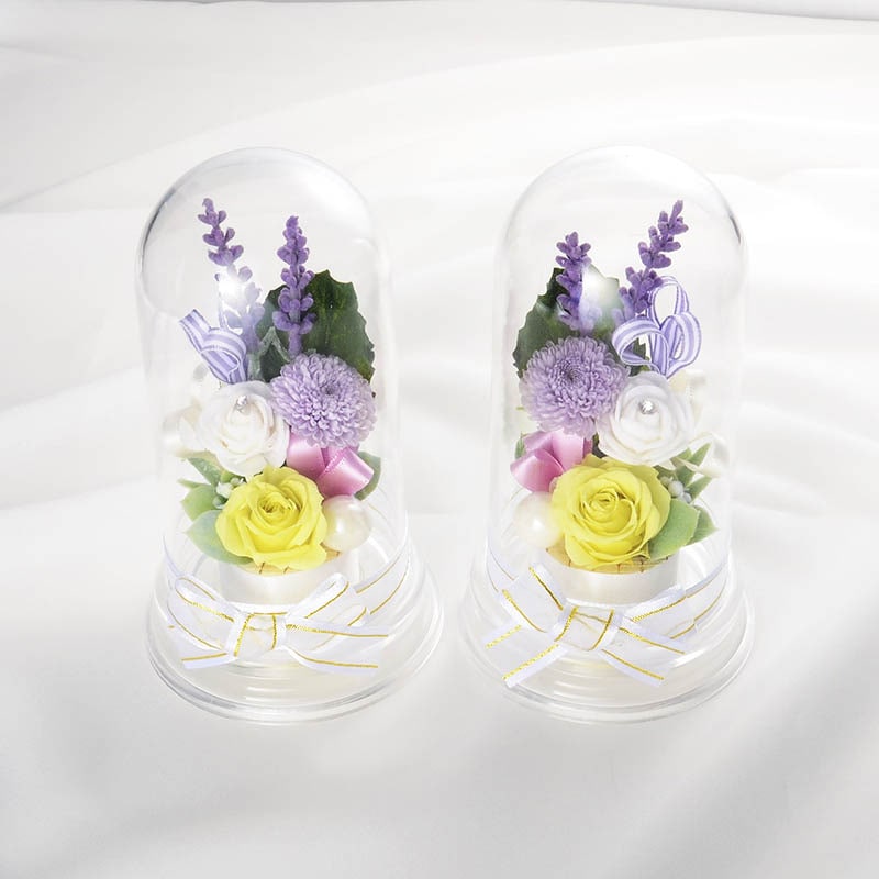 �ץꥶ���֥ɥե� ʩ�� ʩ���� �� 2�ĥ��å� �ɡ��ॢ��� �֥��ꥢ��ե���