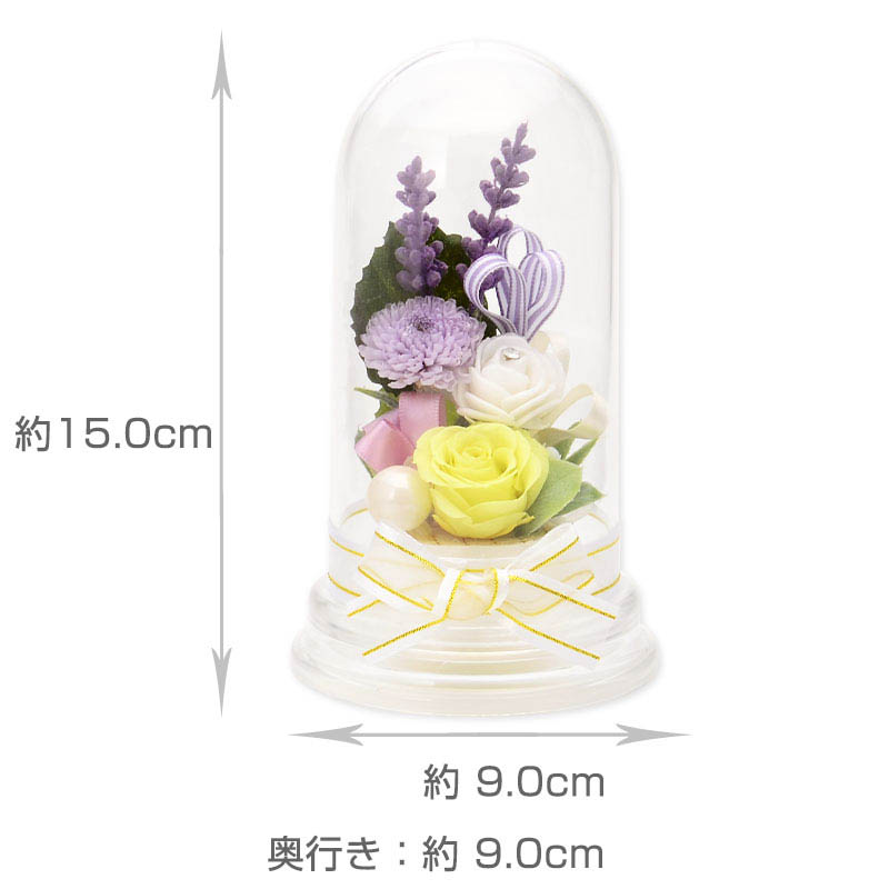 �ץꥶ���֥ɥե� ʩ�� ʩ���� �� 2�ĥ��å� �ɡ��ॢ��� �֥��ꥢ��ե���