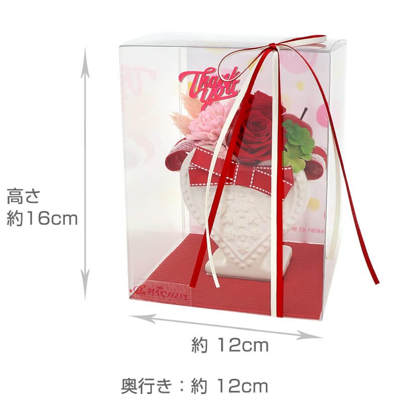 ץꥶ֥ɥե ֤Ф 󥭥塼ԥå 