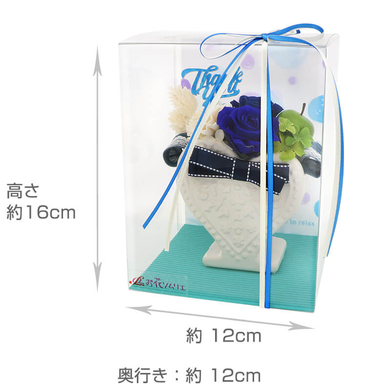 ץꥶ֥ɥե ֥롼 󥭥塼ԥå 