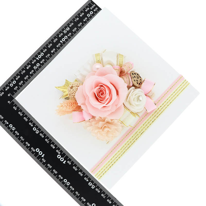 ץꥶ֥ɥե  ˤ ǰ ե졼ॢ ԥ ֥쥬ȡ