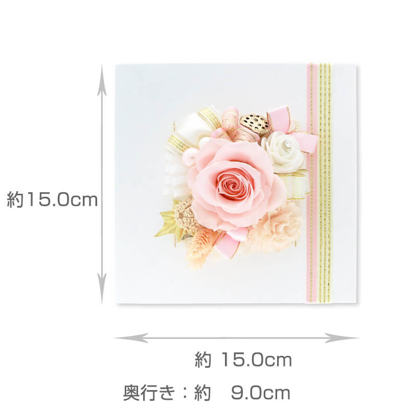 ץꥶ֥ɥե  ˤ ǰ ե졼ॢ ԥ ֥쥬ȡ