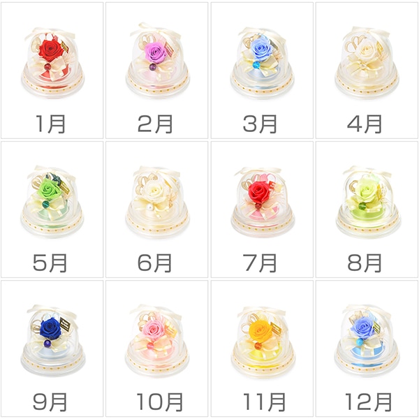 �ץꥶ���֥ɥե� ������ �����Х��顼 �֥ɡ��ॢ��󥸡� ���顼�Хꥨ�������ͭ