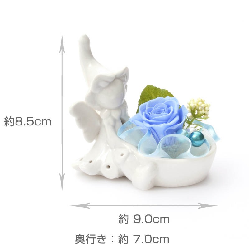 �ץꥶ���֥ɥե�� ���ˤ� ������ �֥ե��ե����꡼�� ���� ���顼�Хꥨ�������ͭ