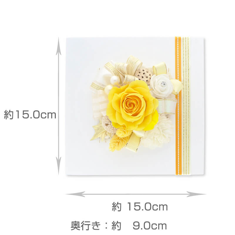 ץꥶ֥ɥե  ˤ ǰ ե졼ॢ  ֥쥬ȡ Ƽ 88  80 Ĺˤ