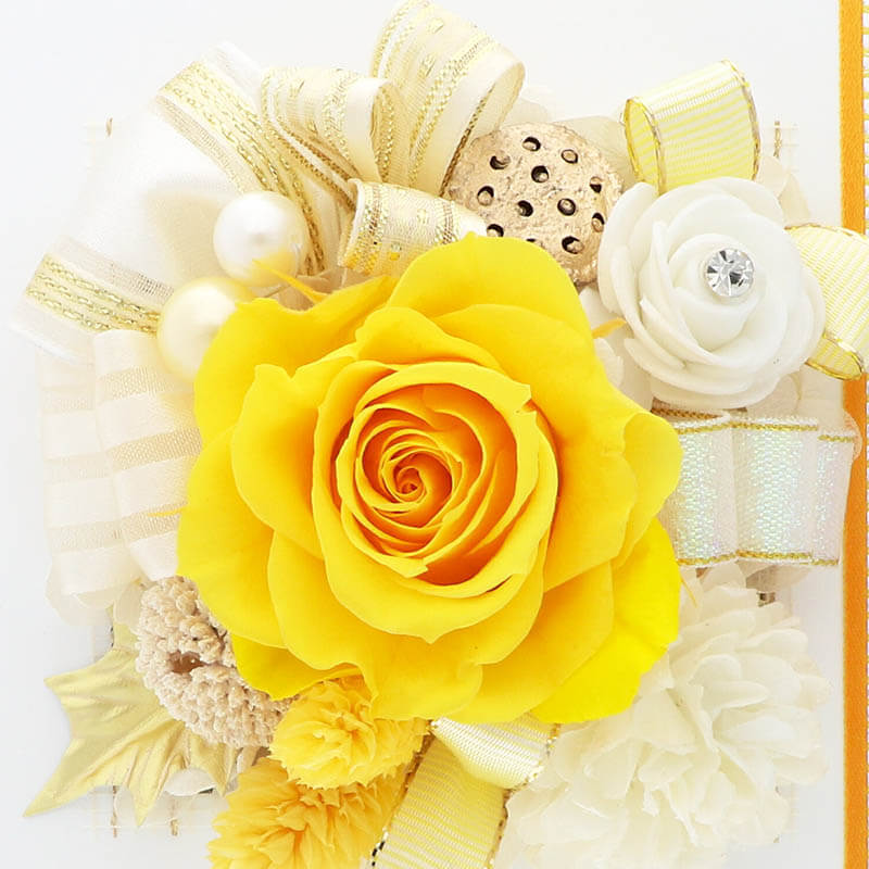 ץꥶ֥ɥե  ˤ ǰ ե졼ॢ  ֥쥬ȡ Ƽ 88  80 Ĺˤ