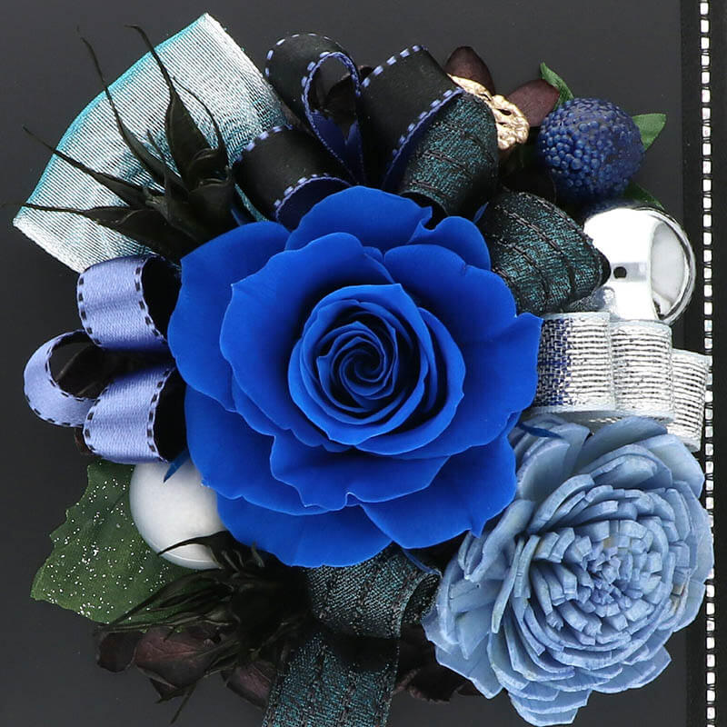 ץꥶ֥ɥե  ˤ ǰ ե졼ॢ ͥӡ ֥쥬ȡ