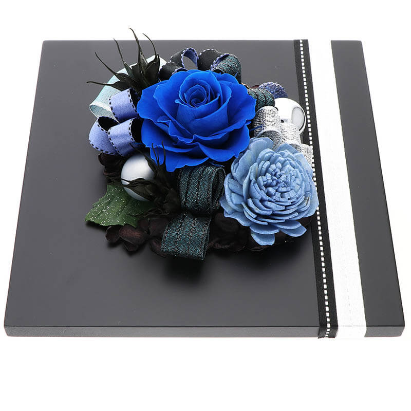 ץꥶ֥ɥե  ˤ ǰ ե졼ॢ ͥӡ ֥쥬ȡ