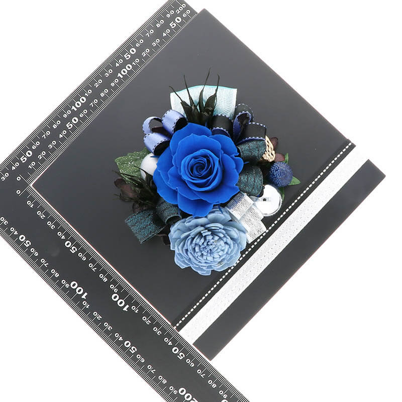 ץꥶ֥ɥե  ˤ ǰ ե졼ॢ ͥӡ ֥쥬ȡ