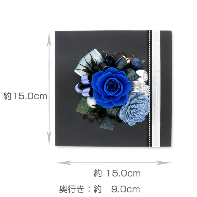 ץꥶ֥ɥե  ˤ ǰ ե졼ॢ ͥӡ ֥쥬ȡ