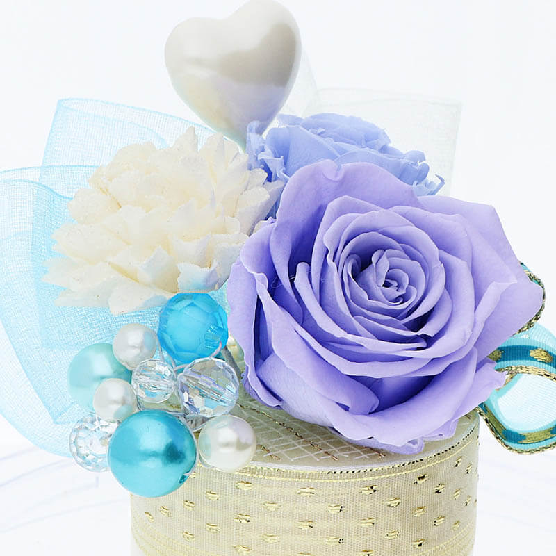 ǰ ץꥶ֥ɥե ֥롼 ٤ܥ