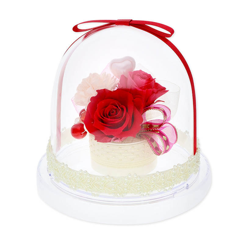 ������ �ץꥶ���֥ɥե� ��å� ���٤��ܥ�