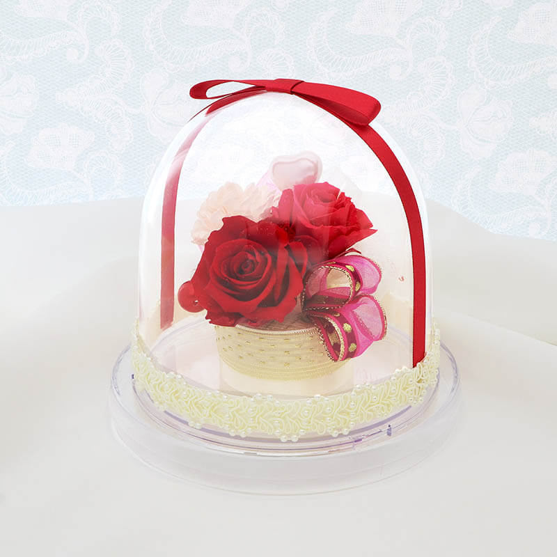 ������ �ץꥶ���֥ɥե� ��å� ���٤��ܥ�