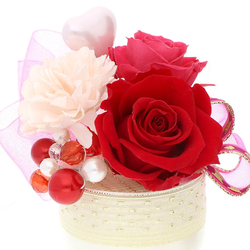 ������ �ץꥶ���֥ɥե� ��å� ���٤��ܥ�