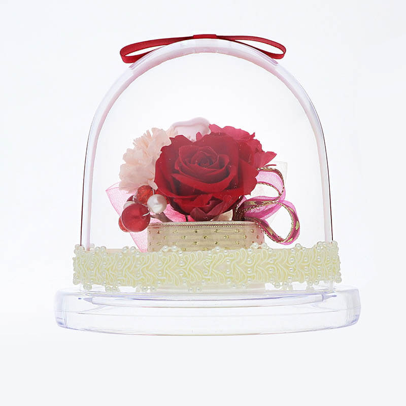 ������ �ץꥶ���֥ɥե� ��å� ���٤��ܥ�