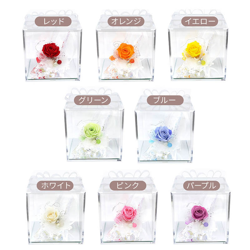 �ץꥶ���֥ɥե� ���饹�η� ����ǥ�� ������ �䤷�� �ץ��ݡ��� �뺧��ǰ�� �ֺ��� �ԥ�