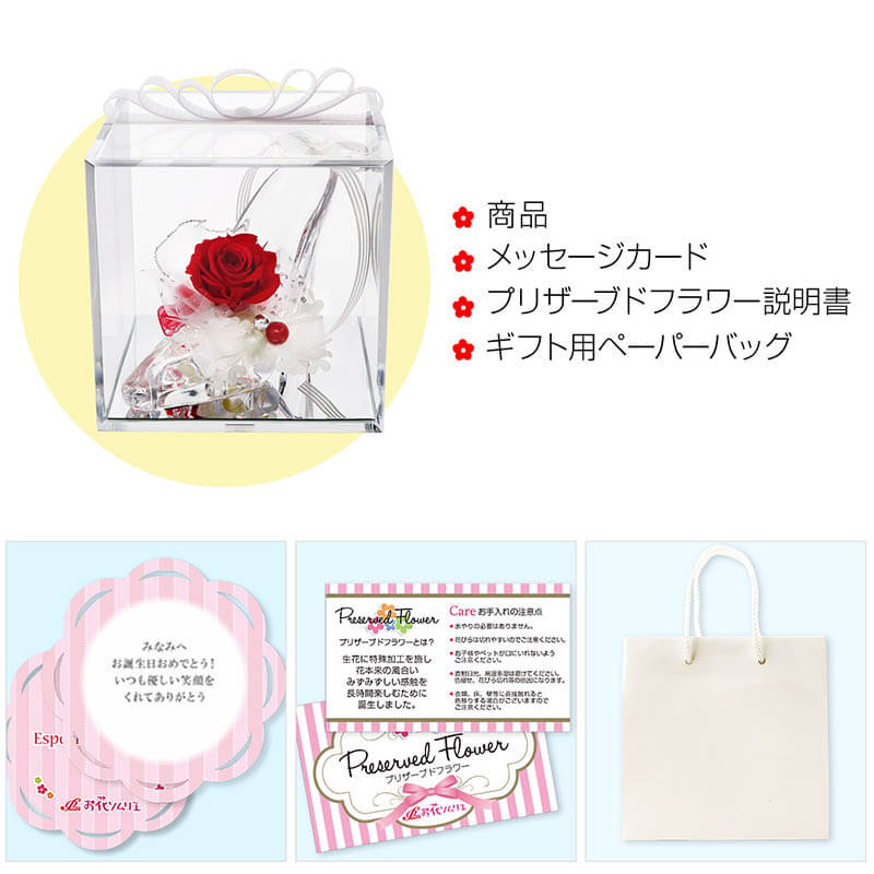 �ץꥶ���֥ɥե� ���饹�η� ����ǥ�� ������ �䤷�� �ץ��ݡ��� �뺧��ǰ�� �ֺ��� �ԥ�