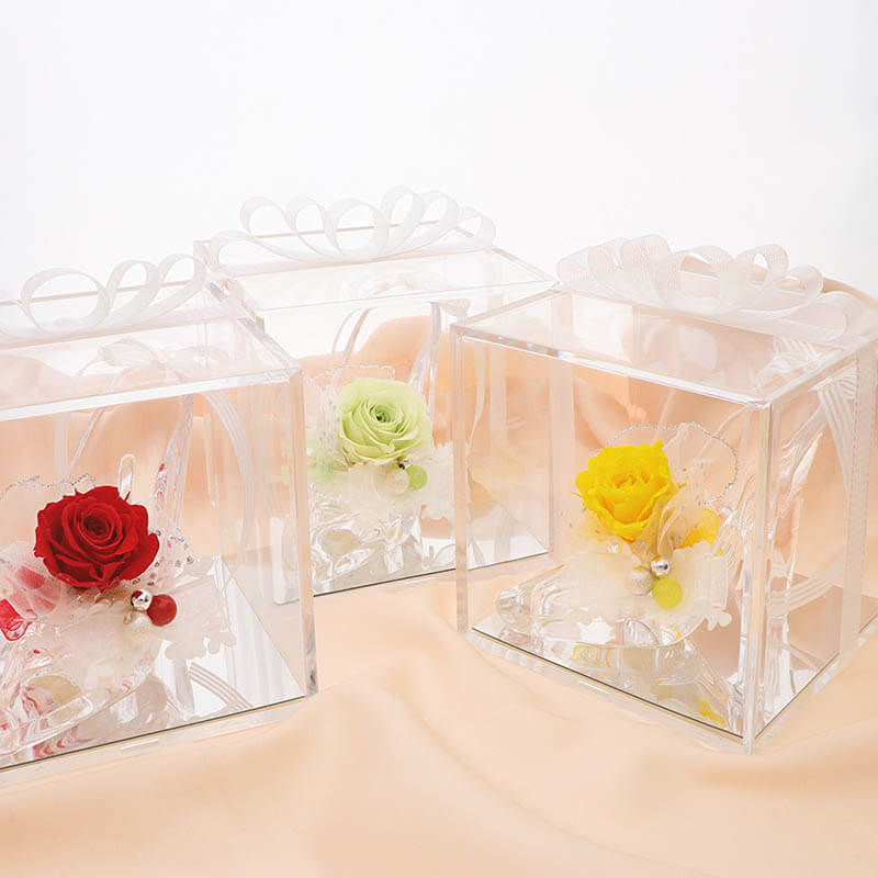 ץꥶ֥ɥե 饹η ǥ  䤷 ץݡ 뺧ǰ ֺ ֥롼