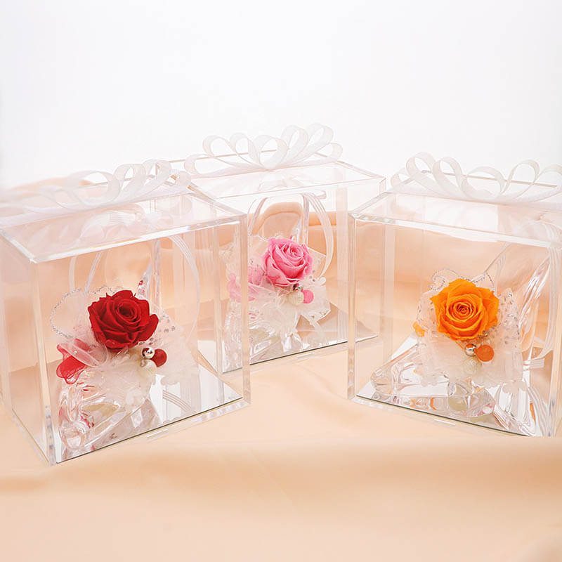 ץꥶ֥ɥե 饹η ǥ  䤷 ץݡ 뺧ǰ ֺ ֥롼