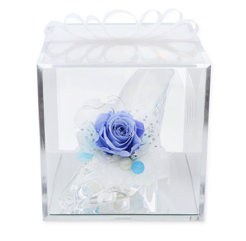 ץꥶ֥ɥե 饹η ǥ  䤷 ץݡ 뺧ǰ ֺ ֥롼