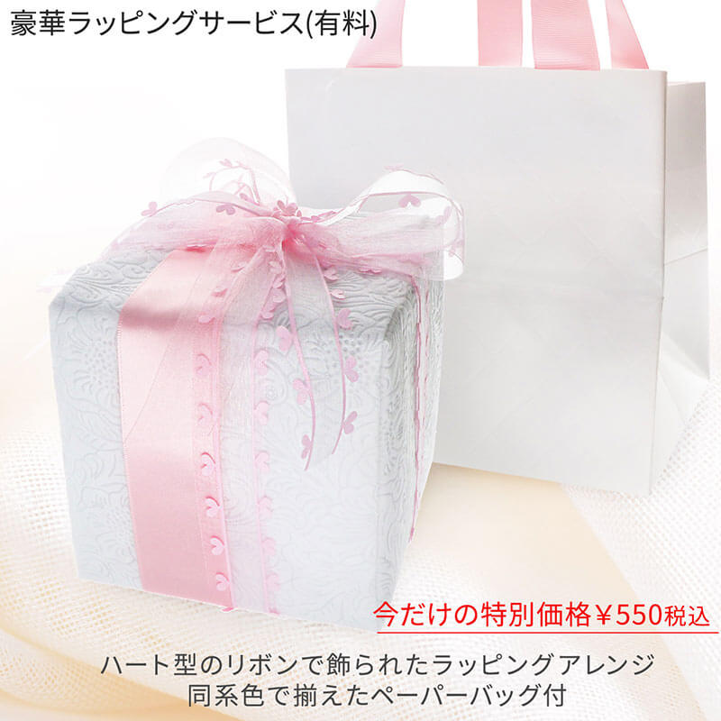 ץꥶ֥ɥե 饹η ǥ  䤷 ץݡ 뺧ǰ ֺ ֥롼