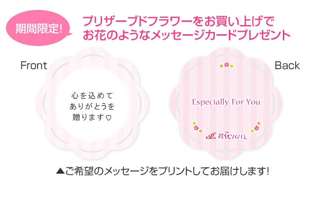 ץꥶ֥ɥե ֥롼 Thank Youɥԥå