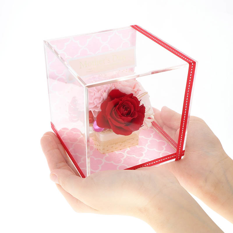 ����� ����� ñ�� �ץꥶ���֥ɥե� ���塼�� (��å�������������)